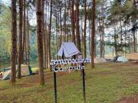 Pang Ung Camp Site - ลานกางเต็นท์ปางอุ๋ง