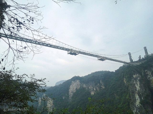 【中国】世界最長のガラスの吊橋！？「張家界大峡谷玻璃橋」