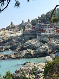 부산여행에서만 만날 수 있는 한국의 멋! “해동용궁사”🤍