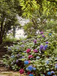 Spring's Photographer's Paradise 