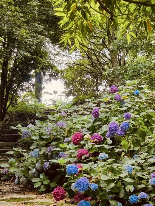 Spring's Photographer's Paradise 