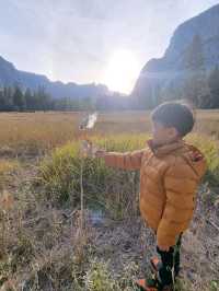 Yosemite: A Year-Round Wonderland, Day and Night!