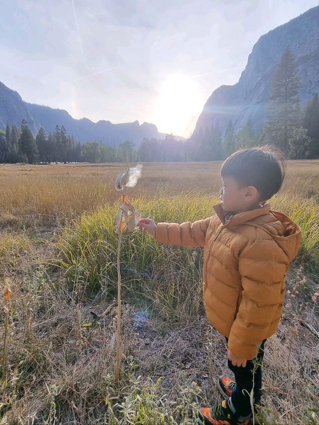 Yosemite: A Year-Round Wonderland, Day and Night!