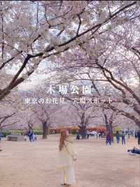 東京のお花見🌸穴場スポット　木場公園