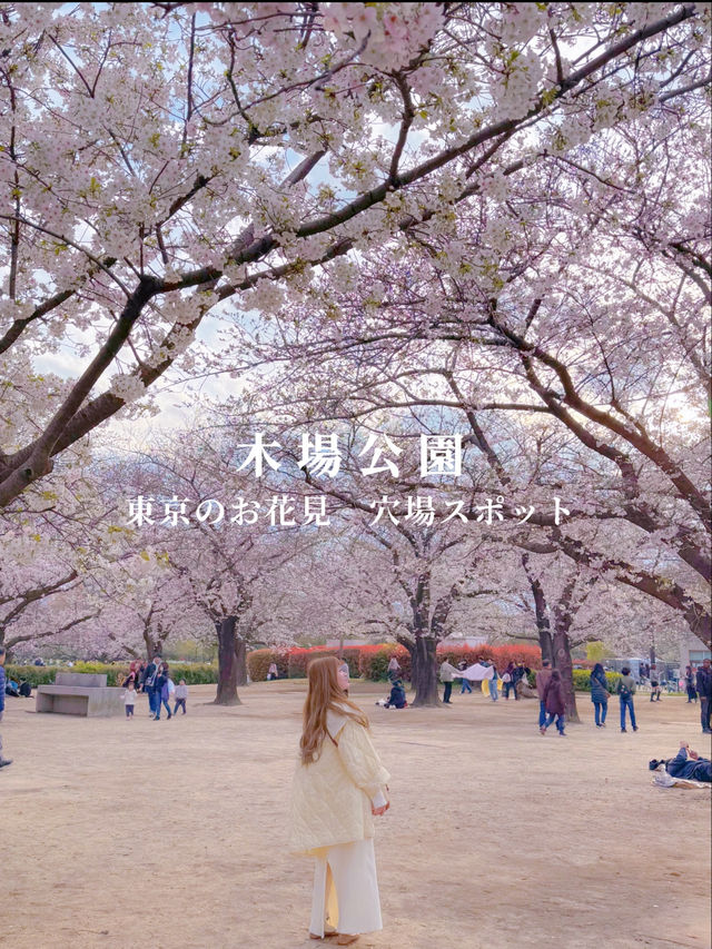 東京のお花見🌸穴場スポット　木場公園