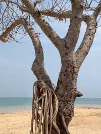 🌿 หนีความวุ่นวาย มาพักใจที่หาดสอ ชายหาดสุดสงบ! 🏝