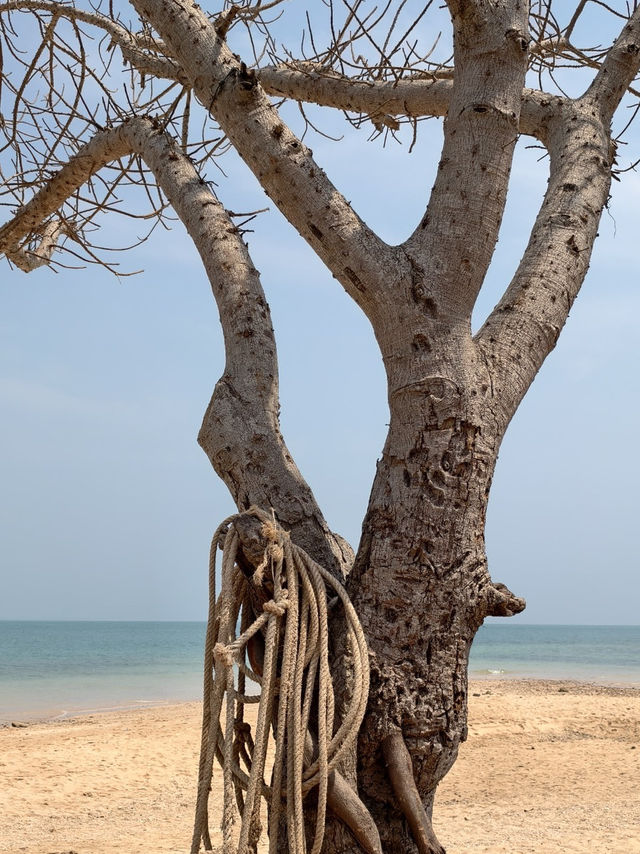 🌿 หนีความวุ่นวาย มาพักใจที่หาดสอ ชายหาดสุดสงบ! 🏝