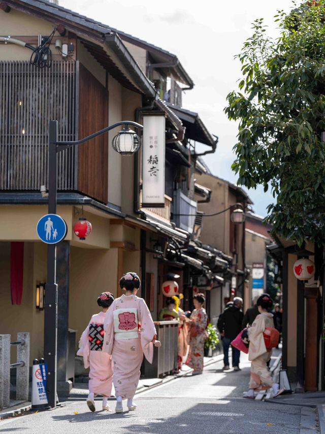 朝一の先斗町スナップ 🌅🏮 静寂の中に漂う京都の風情