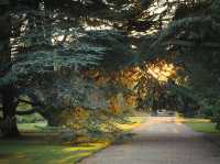 Cambridge University Botanic Garden