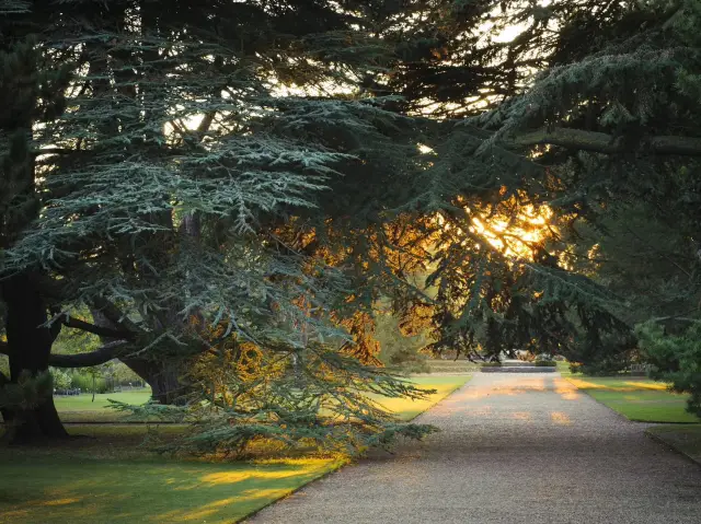 Cambridge University Botanic Garden