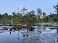 Wandering Through Stillness: A Solo Day at the Chinese and Japanese Gardens in Singapore