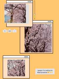 A Breath of Spring Air: Exploring Daecheong Park's Rejuvenating Landscape