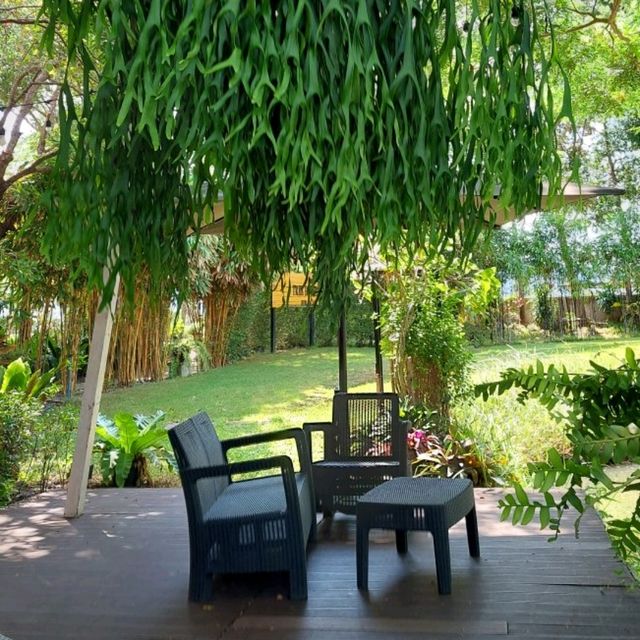 Tree House Durian Cafe' Chanthaburi ทุเรียนคาเฟ่