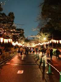 都内屈指のお花見名所🌸上野恩賜公園で春満喫！