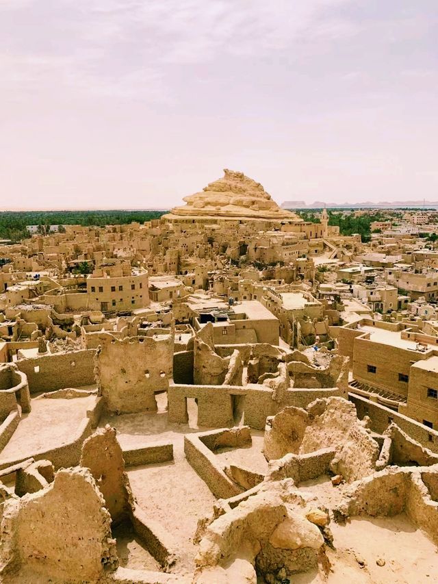 埃及著名旅遊城市錫瓦旅遊攻略，適合打卡拍照📸