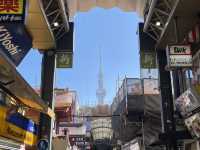 Asakusa Temple หรือ Sensoji Temple