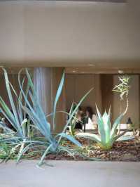 日本で1番小さな植物園の中にあるカフェ
