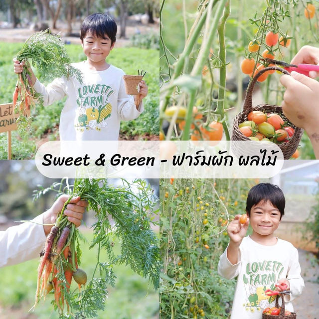 รวมพิกัดที่เที่ยวสายครอบครัว “เขาใหญ่” 🚗🌳