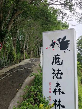 #魔法森林-臺南市玉井區
