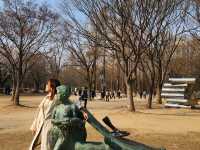 Immerse in Romantic Cherry Blossoms & More in Seoul Forest
