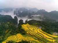Autumn Magic in Zhangjiajie: A Peaceful Escape into Nature's Colors