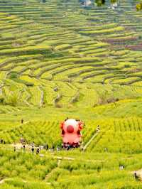 Fujishan: A Seasonal Masterpiece of Color and Life