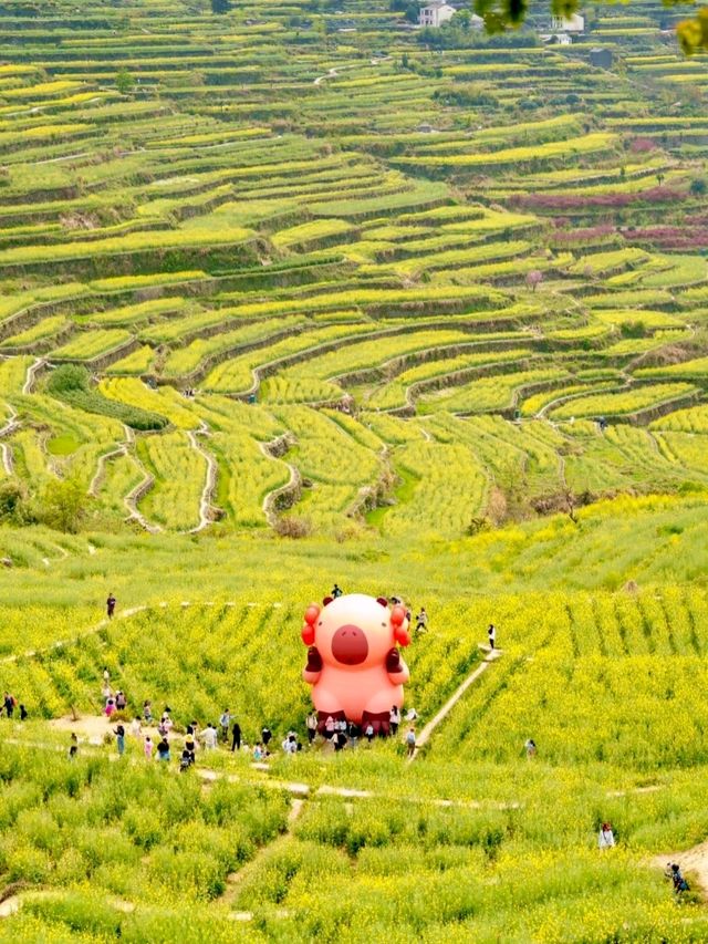 Fujishan: A Seasonal Masterpiece of Color and Life