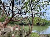 Daan Forest Park