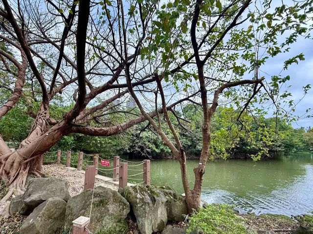 Daan Forest Park
