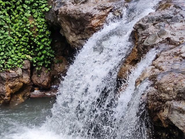 #北投公園-臺北市北投區