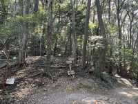 歴史と自然が交差するスポット！金神社と岐阜城で岐阜の魅力を堪能しよう