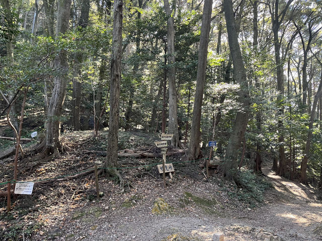 歴史と自然が交差するスポット！金神社と岐阜城で岐阜の魅力を堪能しよう