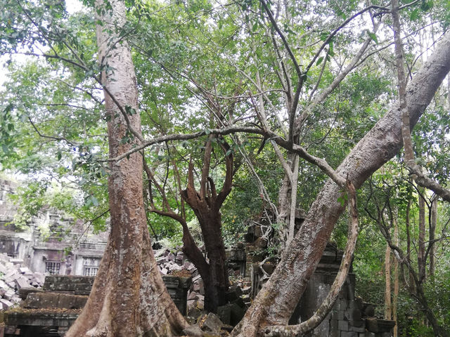 A Mysterious temple, beng mealea temple