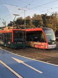 🚋 마쓰야마 교통편 정리, 똑똑하게 이동하세요!