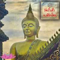 🌻ไหว้พระทำบุญ | วัดป่าเห็ว (สันปูเลย)🌼