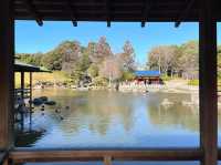 絕美靜謐大仙公園日本庭園🌿