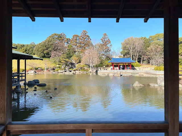 絕美靜謐大仙公園日本庭園🌿