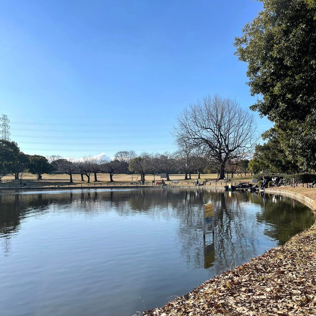日本大仙公園💕避開人流好去處