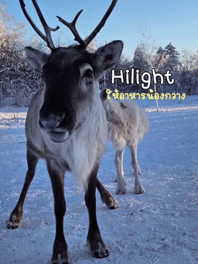 รีวิวฮาร์บิน  Changbai Mountain หรือ snow valley