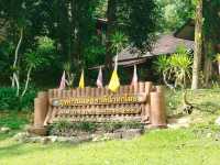 สัมผัสความยิ่งใหญ่ของธรรมชาติในป่าฝนแห่งภาคใต้