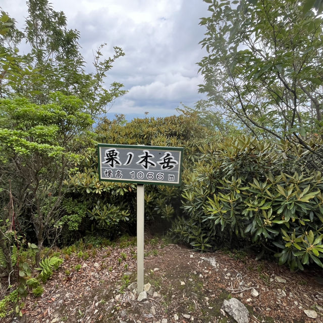 🌰【栗の木岳】 まつさかイレブン