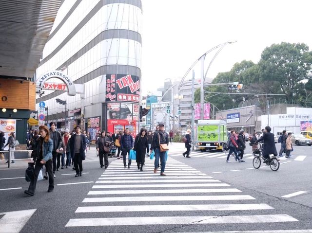 พาเดินเพลินชิม ตลาดอะเมโยโกะ (Ameya Yokocho)