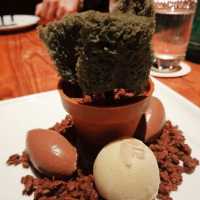 A Taste of Elegance at KOMA: Where Flavor Meets Mindfulness