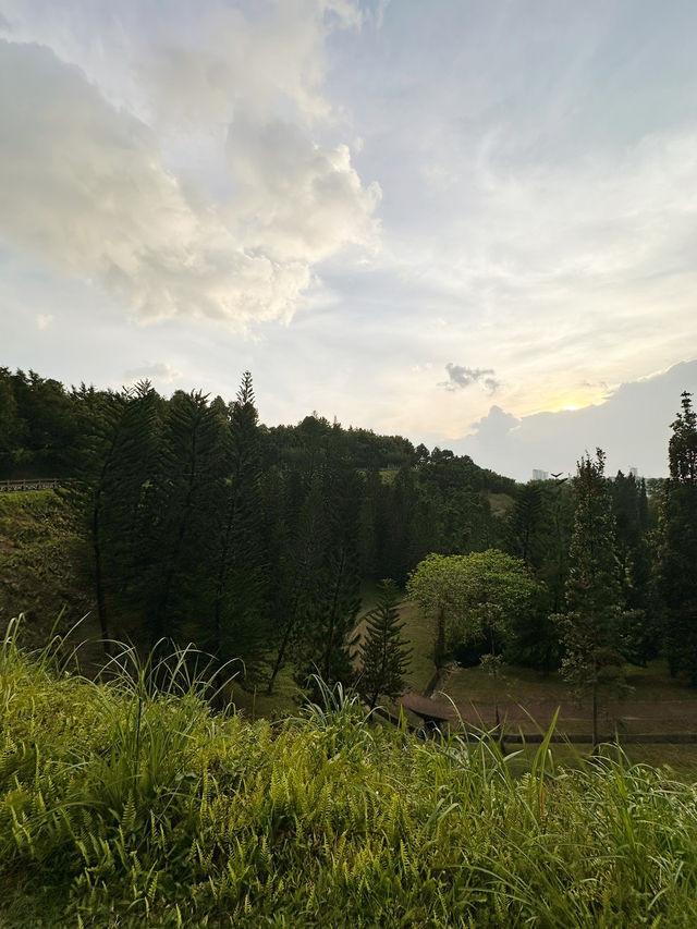 A Breath of Fresh Air at Taman Saujana Hijau