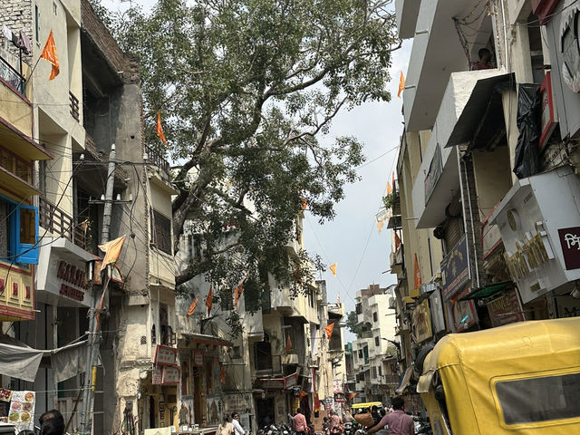 【インド】　ウダイプル市街で買い物