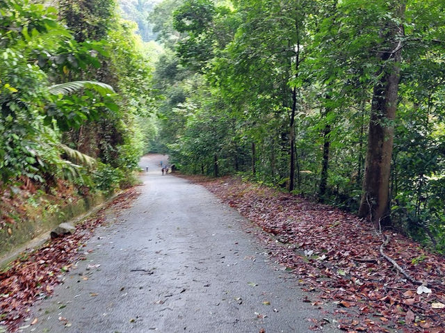 Mount Pulai: Stairway to Heaven (and Legs Screaming 'Why?')🌄😅