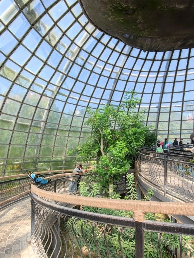 臺版濱灣花園#嘉大植物園-嘉義市東區