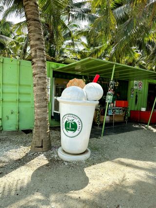 Chilling afternoon at sekinchan coconut farm 