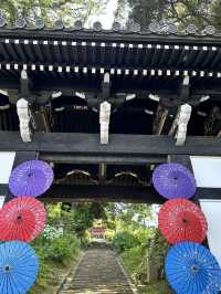 【栃木】紫陽花の人気スポット 仁王門と紫陽花、花手水など