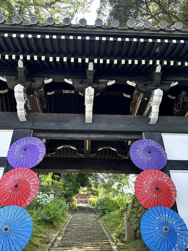 【栃木】紫陽花の人気スポット 仁王門と紫陽花、花手水など